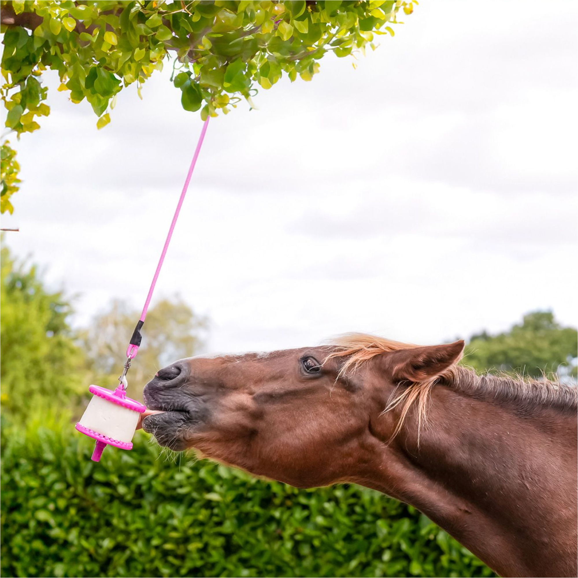 2026 Likit Houder 1561141 - Glitter Pink